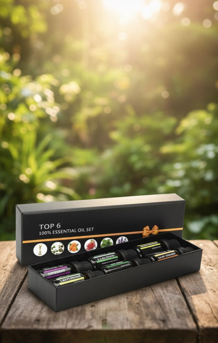 Autoduft24 Bestseller Geschenkset 6er Autoduft24.com